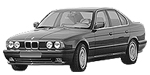 BMW E34 P1E85 Fault Code